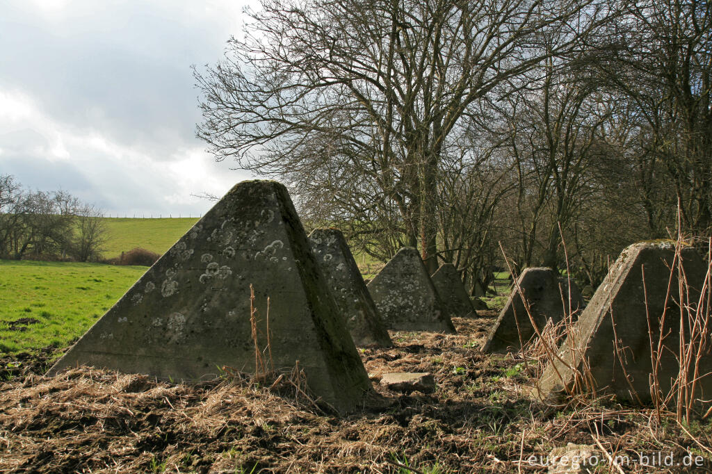 Detailansicht von Westwall zwischen Herzogenrath-Bank und Pannesheide