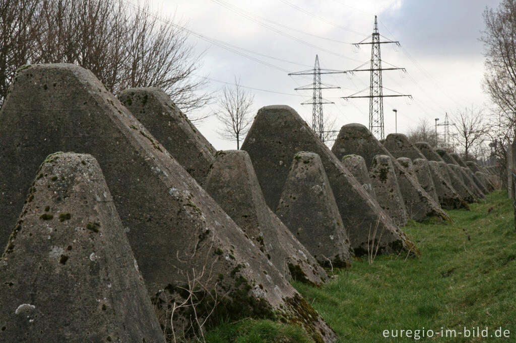 Detailansicht von Westwall zwischen Herzogenrath-Bank und Pannesheide