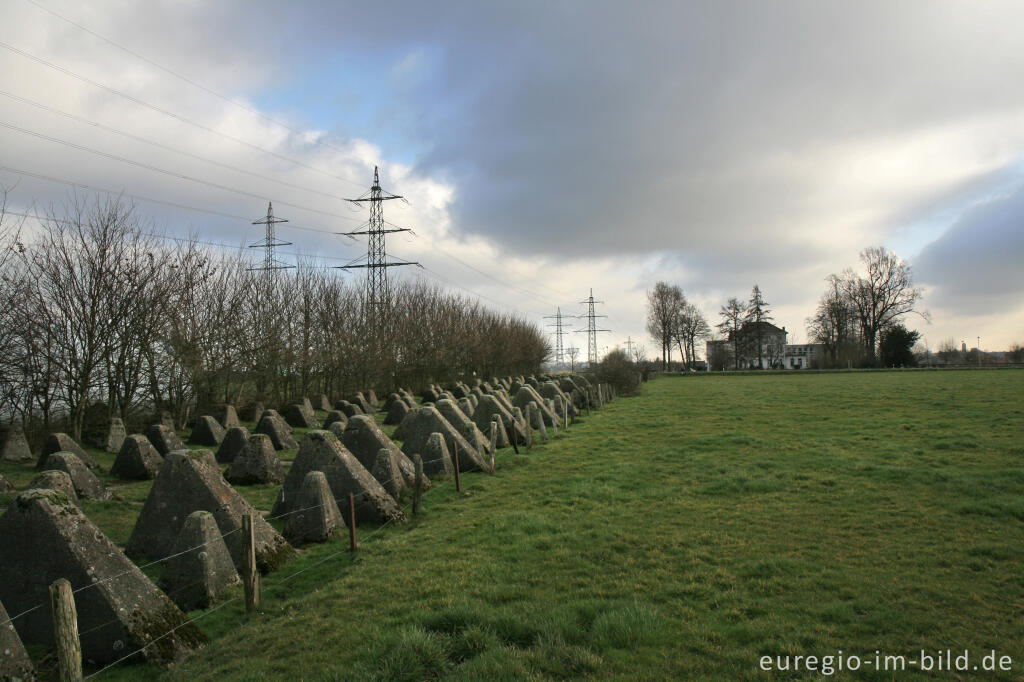 Detailansicht von Westwall zwischen Herzogenrath-Bank und Pannesheide