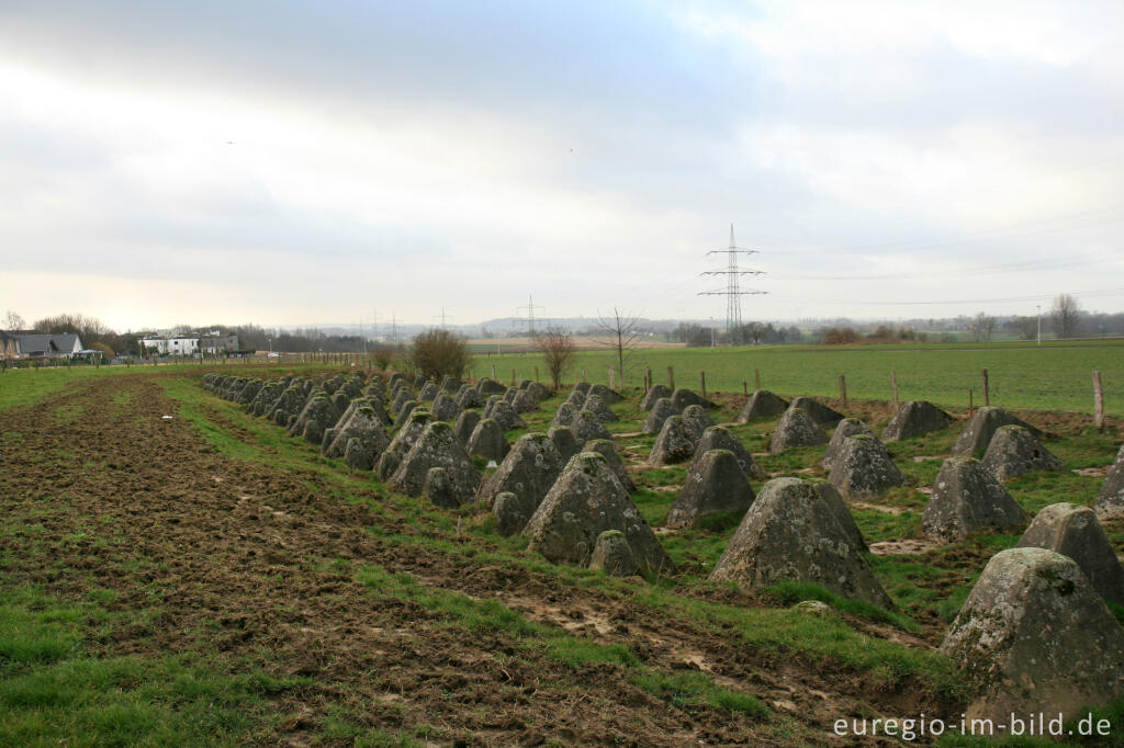 Detailansicht von Westwall zwischen Herzogenrath-Bank und Pannesheide