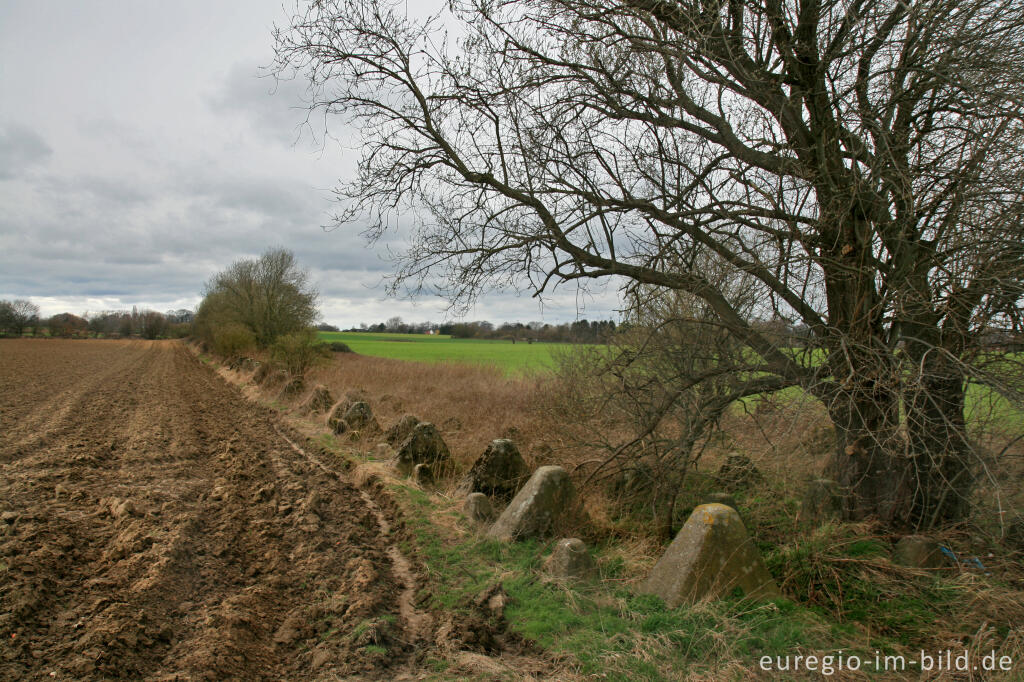 Detailansicht von Westwall zwischen Herzogenrath-Horbach und Locht