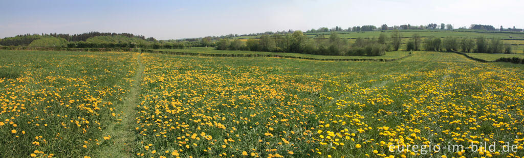 Detailansicht von Wiesenweg (GrenzRoute 1) bei Raeren, B.