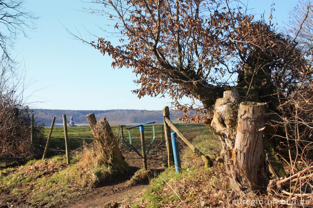 Detailansicht von Wiesenweg mit Drehkreuz