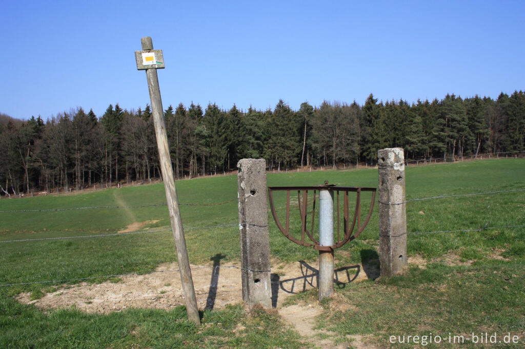 Detailansicht von Wiesenweg mit Drehkreuz beim Gippenhaagerbusch, B.