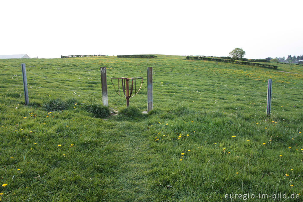 Detailansicht von Wiesenweg mit Drehkreuz beim Periolbach, Raeren, B.