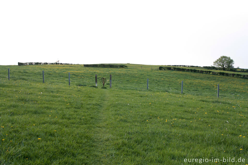 Detailansicht von Wiesenweg mit Drehkreuz beim Periolbach, Raeren, B.