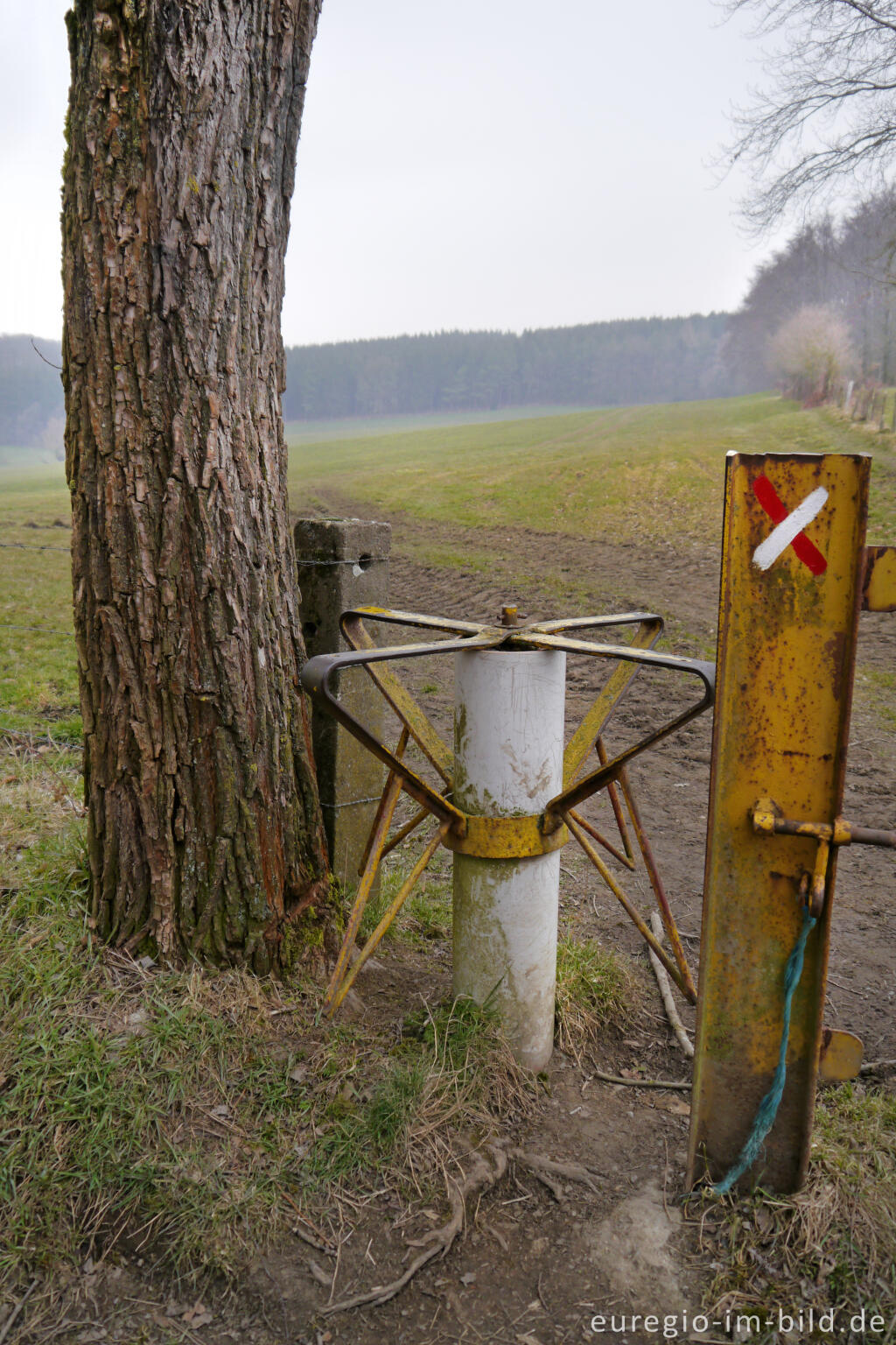 Detailansicht von Wiesenweg mit Drehkreuz in der Nähe von Lontzen-Busch, Belgien