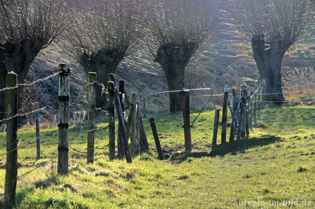 Detailansicht von Wiesenweg mit Drehkreuz, südlich von Epen