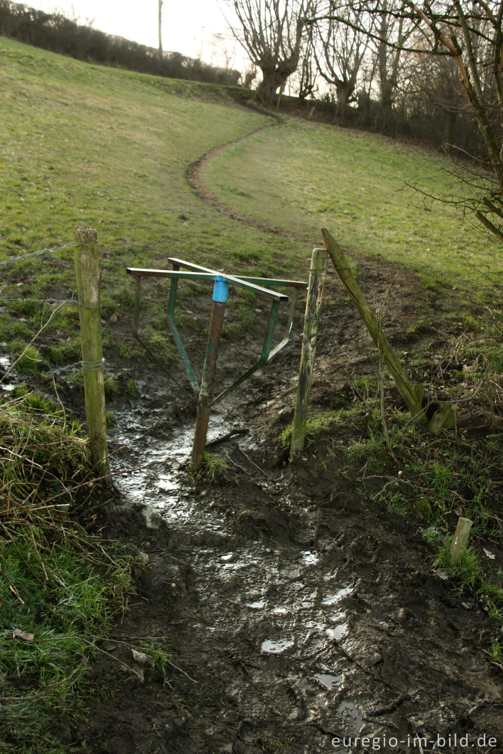 Detailansicht von Wiesenweg mit Drehkreuz, westlich von Sippenaeken