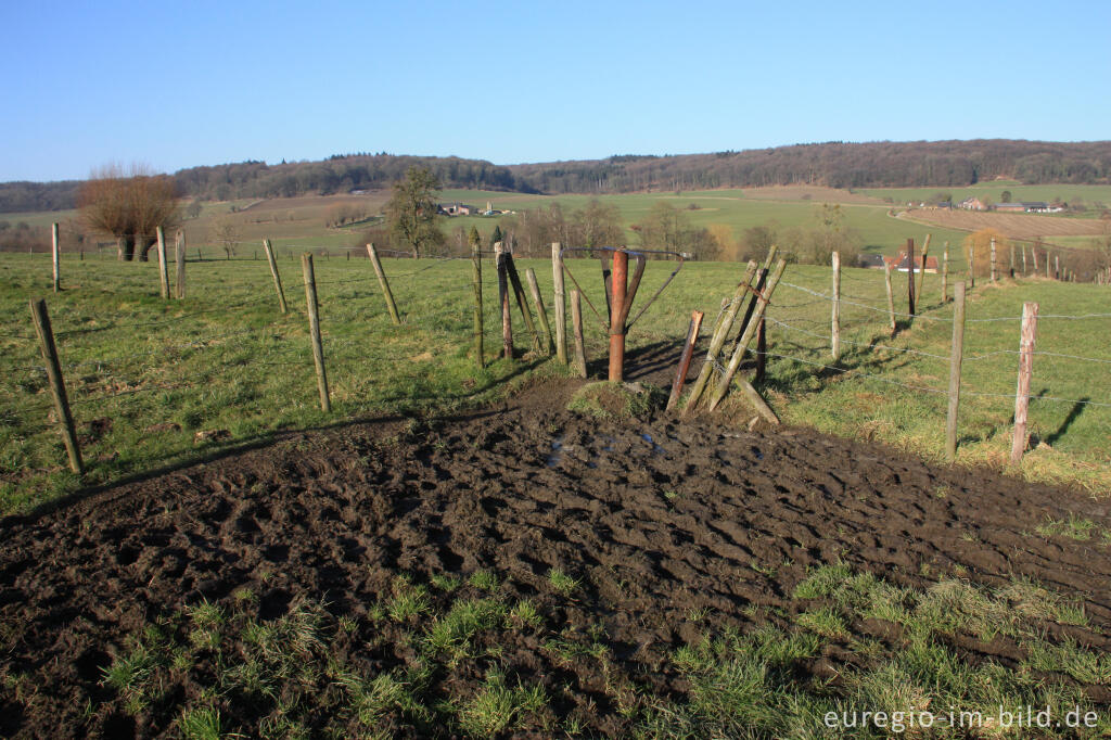 Wiesenweg mit Drehkreuz