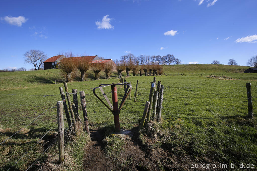 Detailansicht von Wiesenweg mit Stiegel bei Terziet in Südlimburg