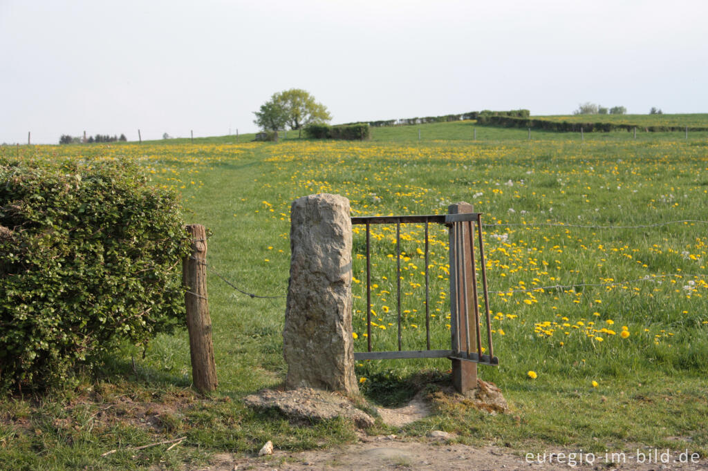 Detailansicht von Wiesenweg und Drehsperre bei Raeren, Belgien