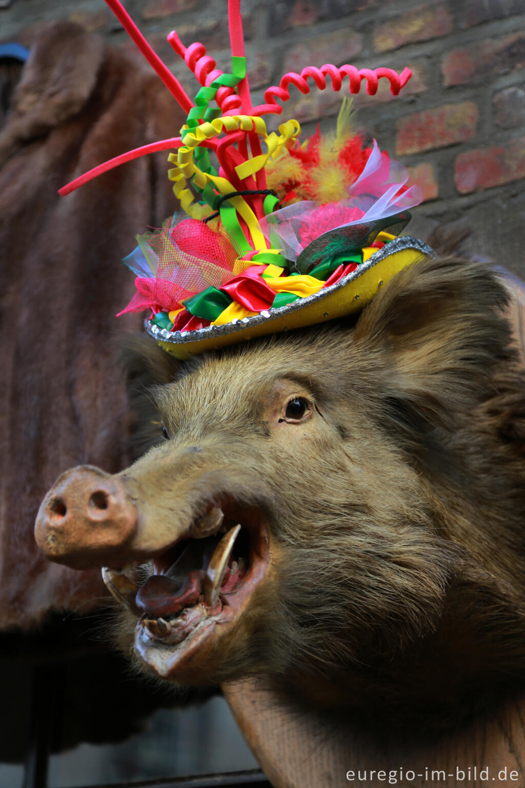 Detailansicht von Wildschwein in der Bredestraat, Maastricht