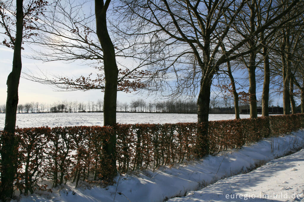 Winter im Hatzevenn