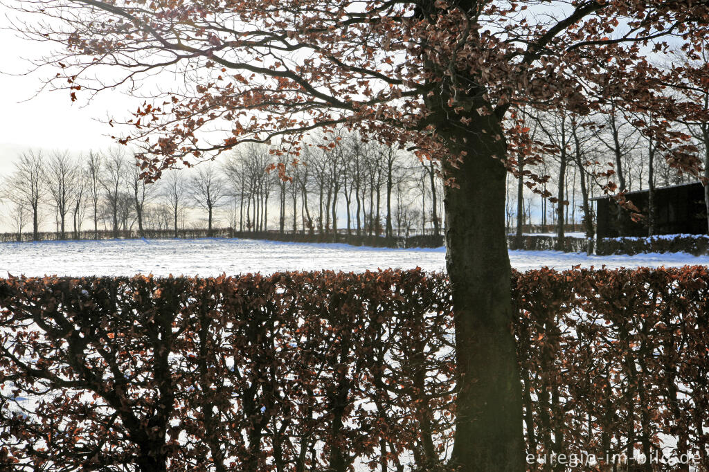 Detailansicht von Winter im Hatzevenn