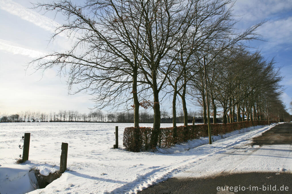 Detailansicht von Winter im Hatzevenn