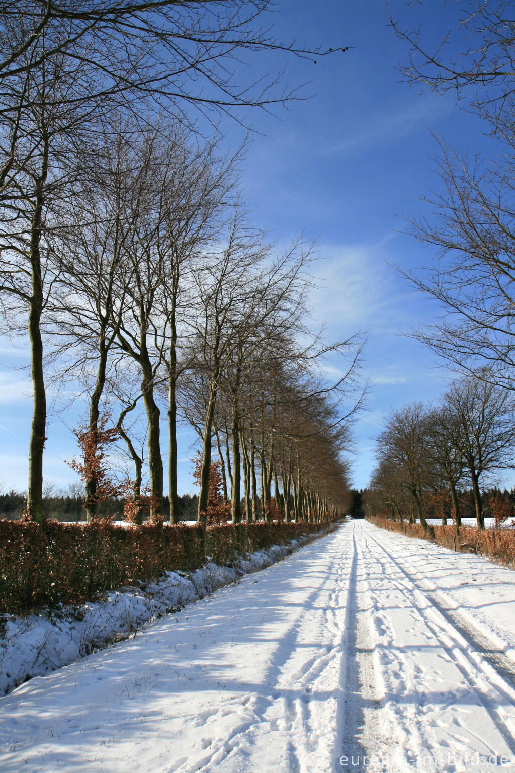 Detailansicht von Winter im Hatzevenn