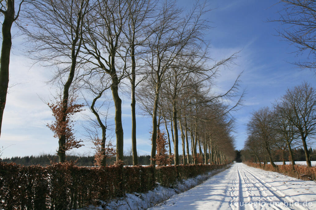 Detailansicht von Winter im Hatzevenn