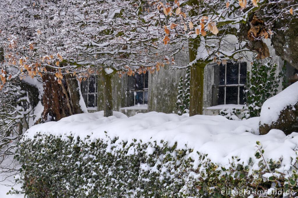 Winter in  Eicherscheid