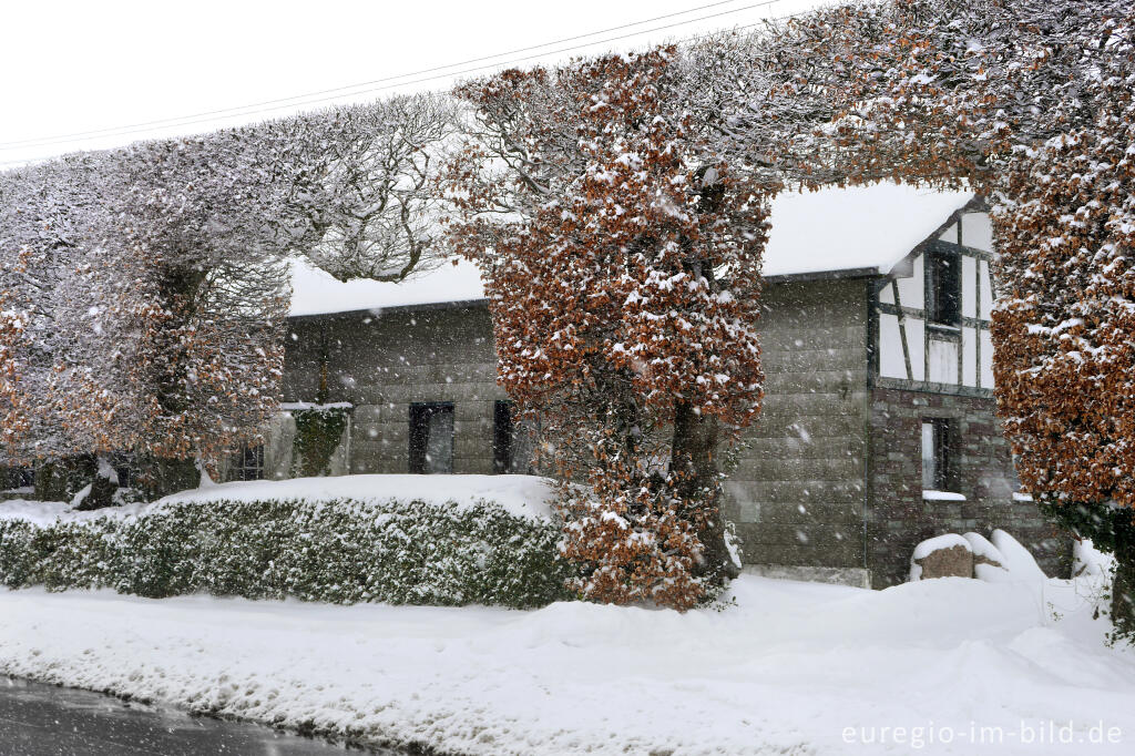 Winter in  Eicherscheid