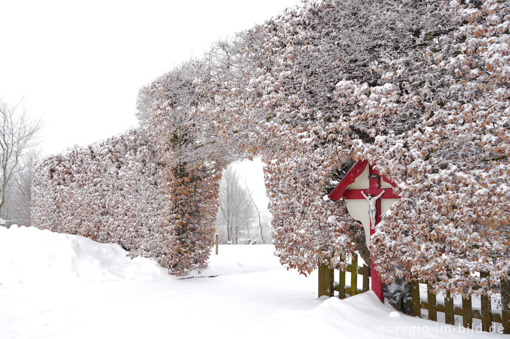 Winter in  Eicherscheid