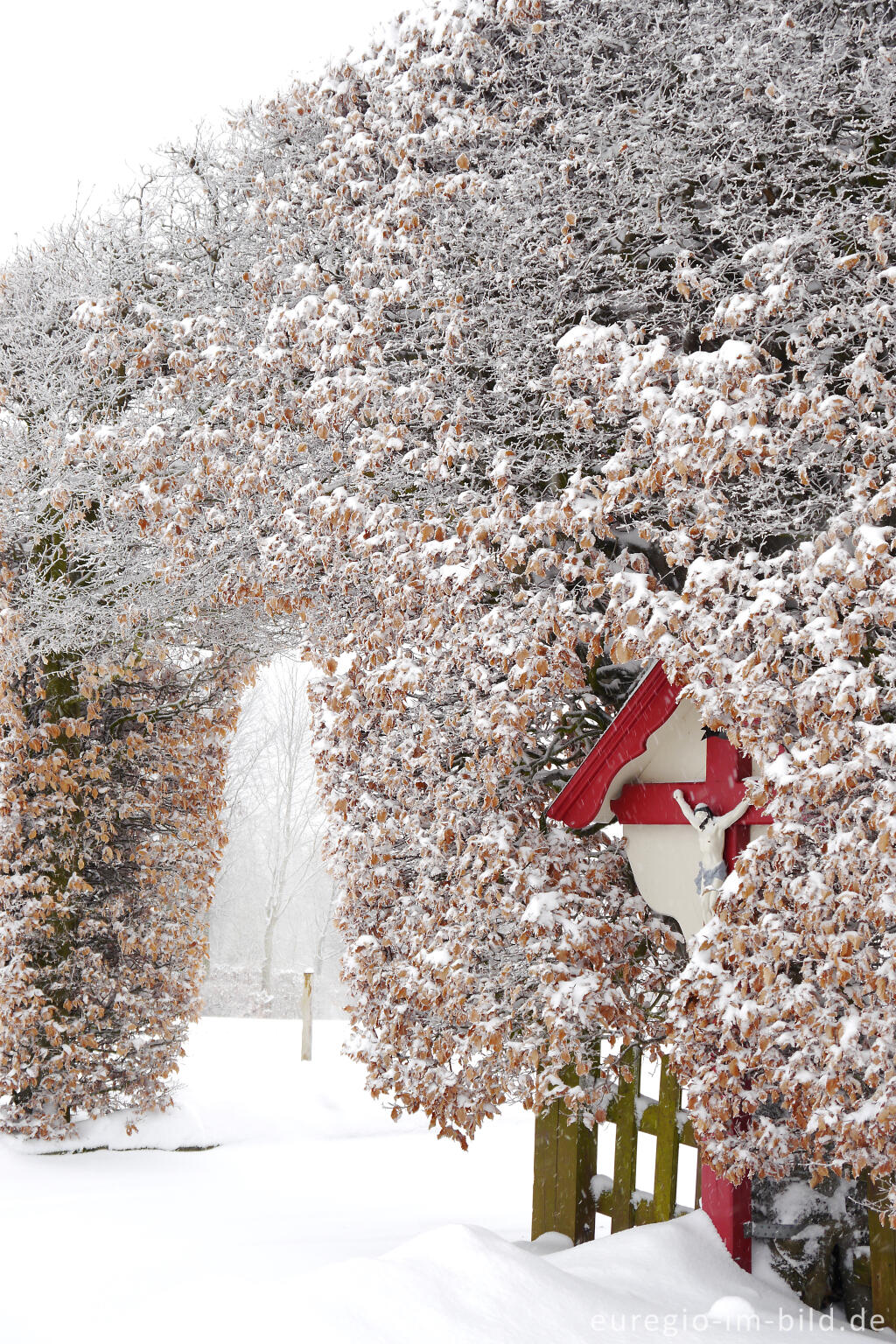 Detailansicht von Winter in  Eicherscheid