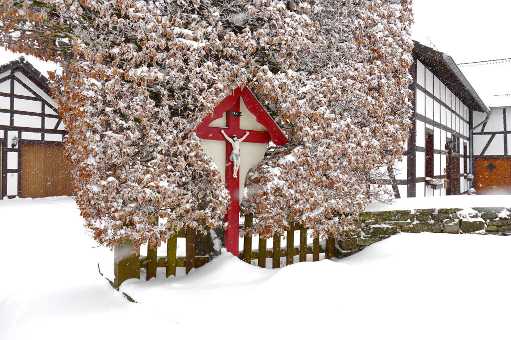 Detailansicht von Winter in  Eicherscheid