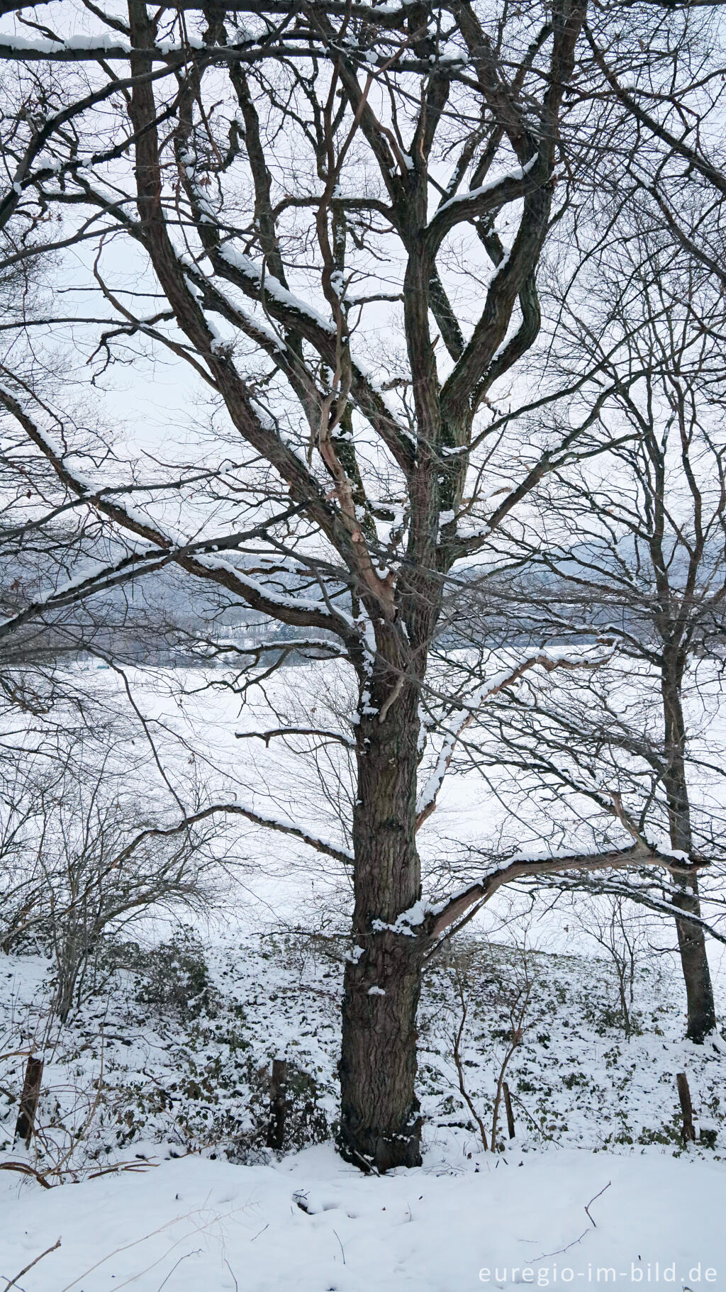 Detailansicht von Winterlandschaft westlich von Schmidt