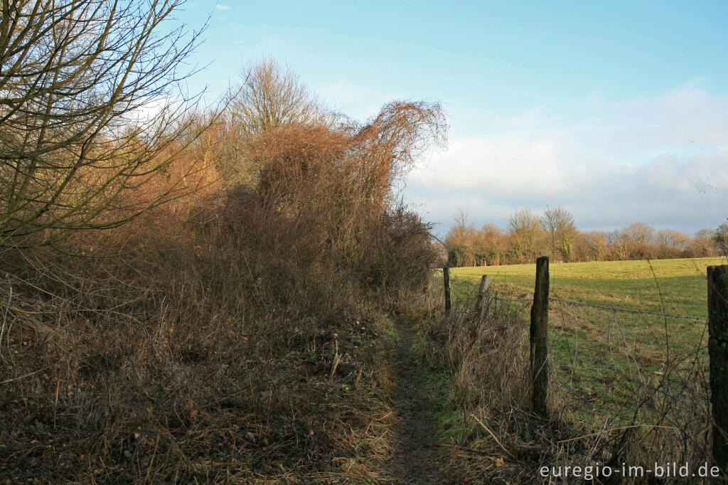 Detailansicht von Winterliche Landschaft, Aachen-Schmithof