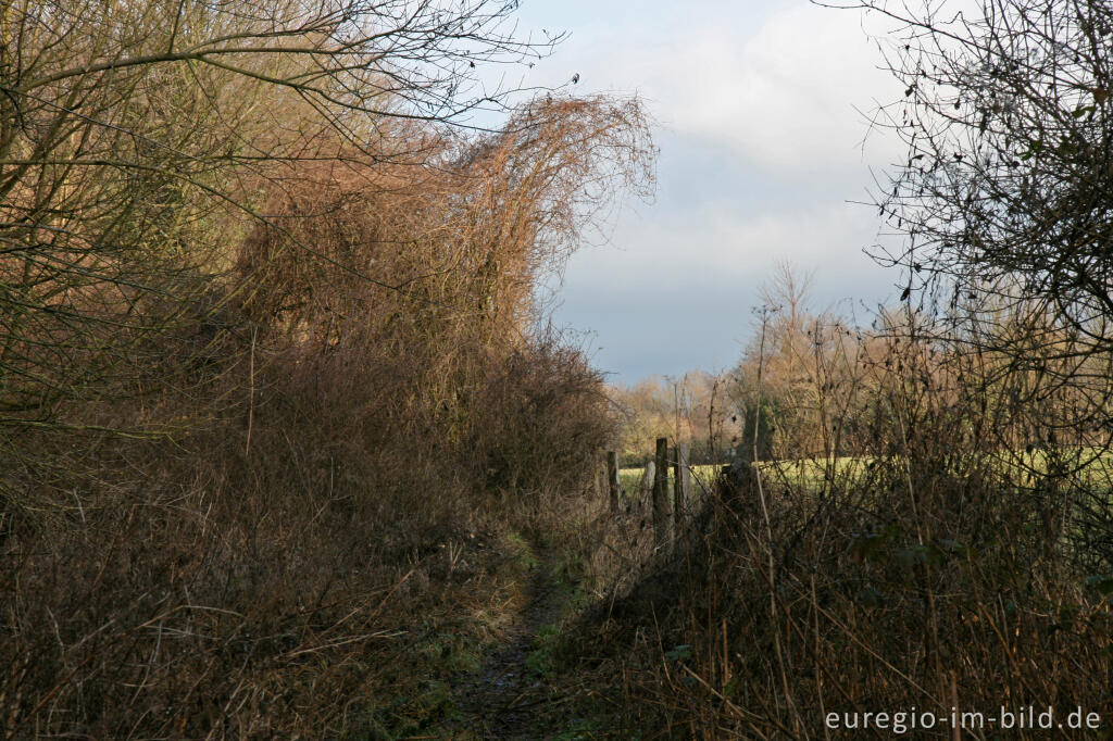 Detailansicht von Winterliche Landschaft, Aachen-Schmithof