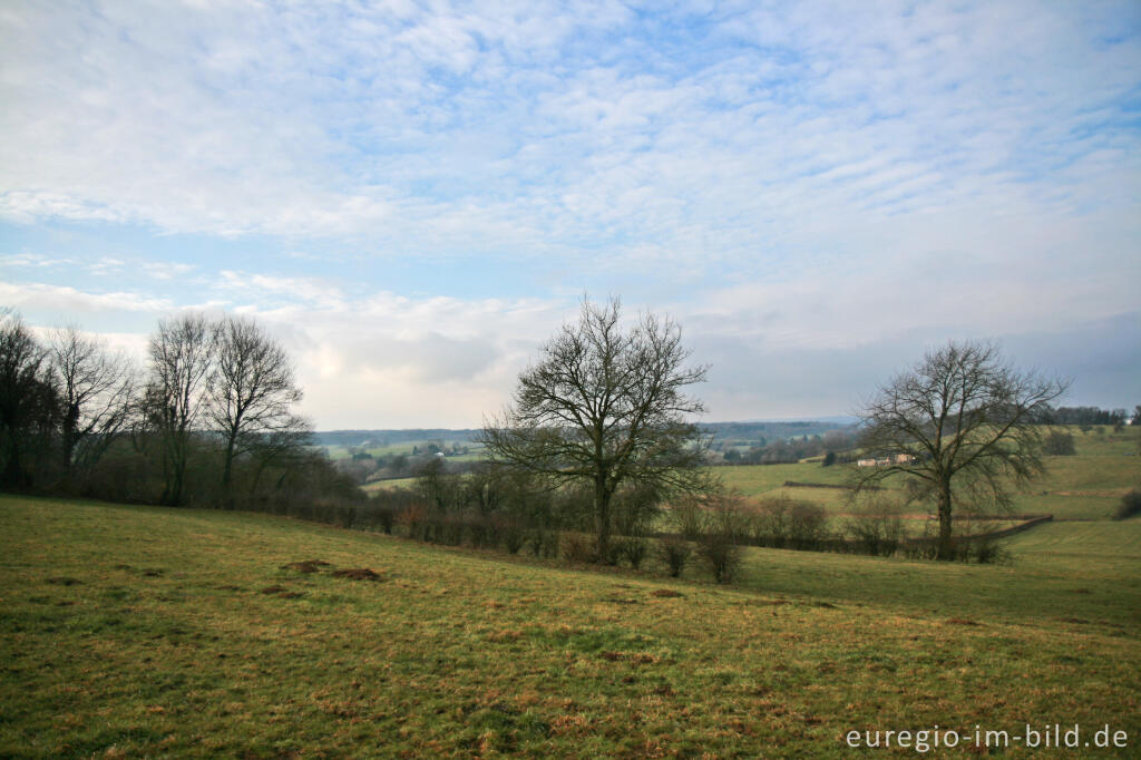 Detailansicht von Winterliche Landschaft, Aachen-Schmithof