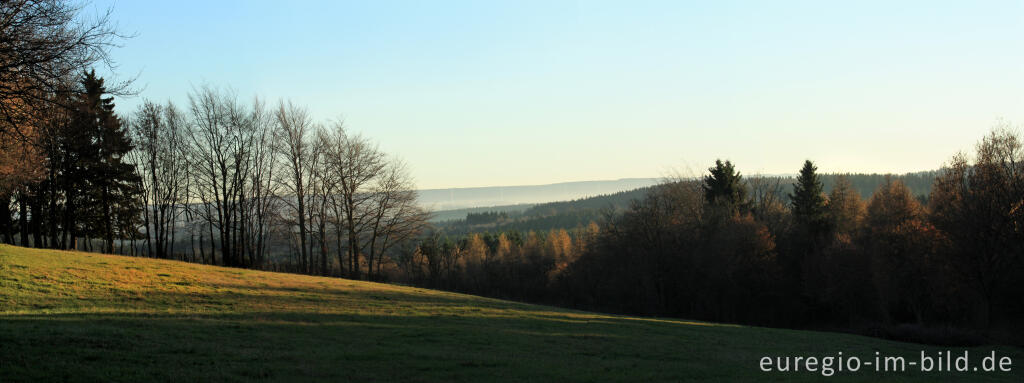 Detailansicht von Winterliche Landschaft in der westlichen Schnee-Eifel