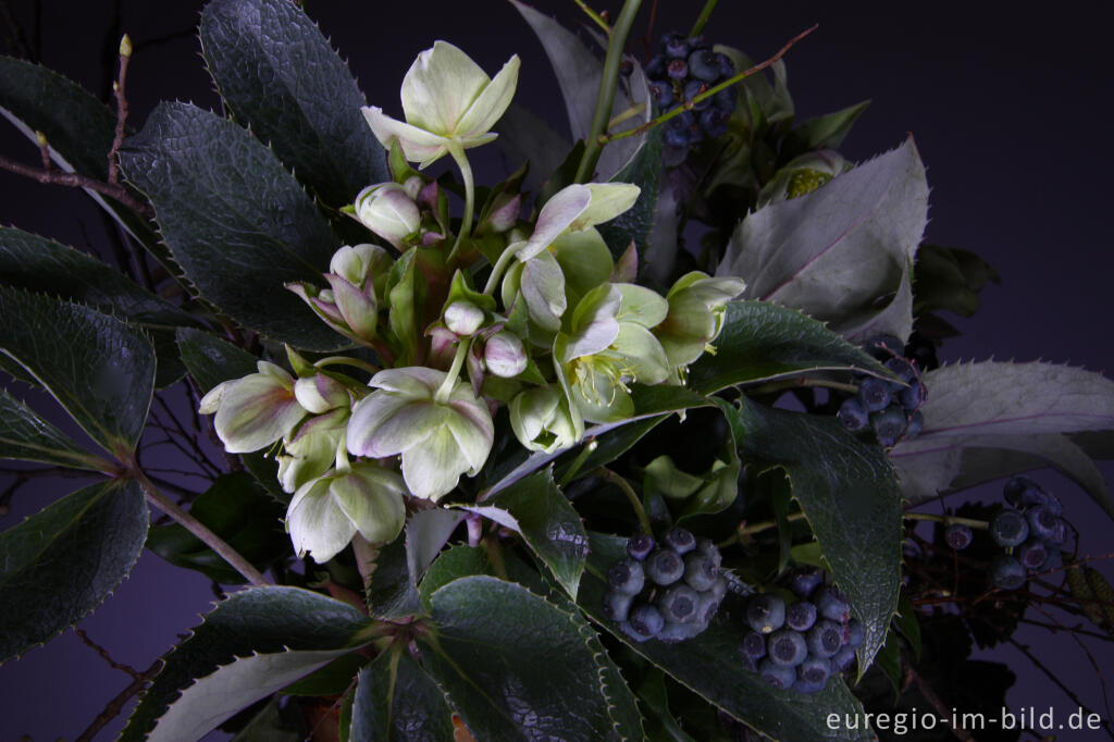 Detailansicht von Winterlicher Blumenstrauß für Januar