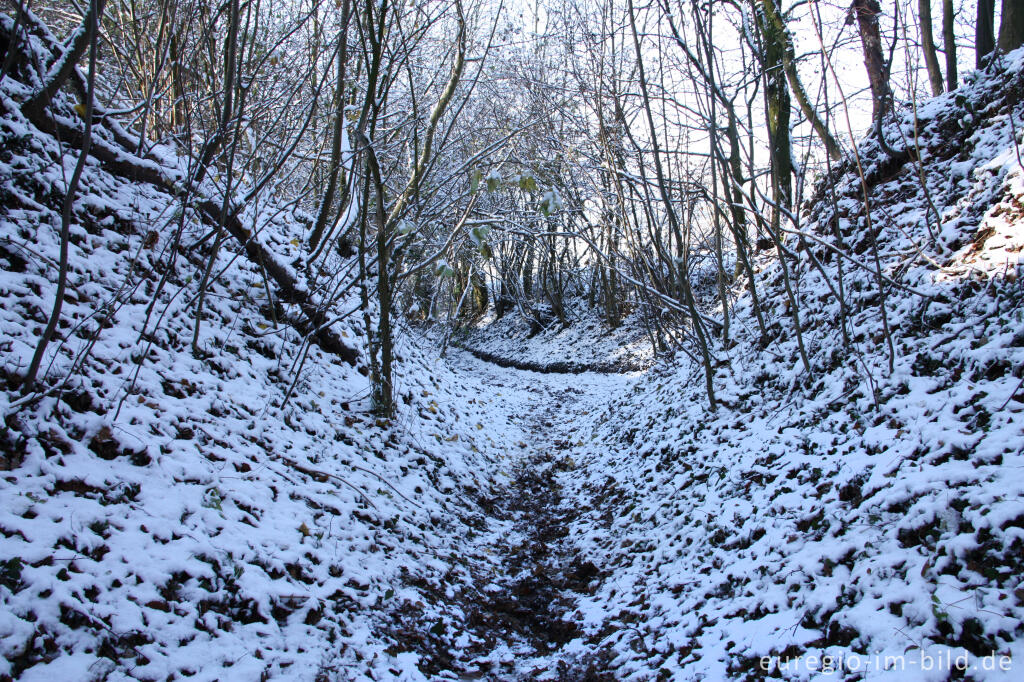 Detailansicht von Winterlicher Hohlweg im Schimperbos, B