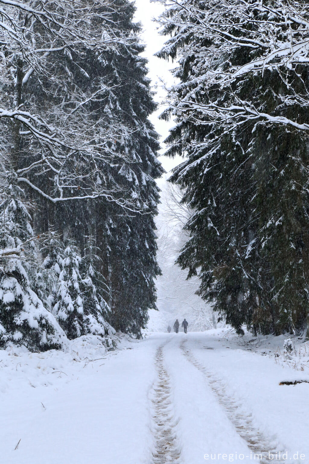 Winterspaziergang bei der Eupener Talsperre