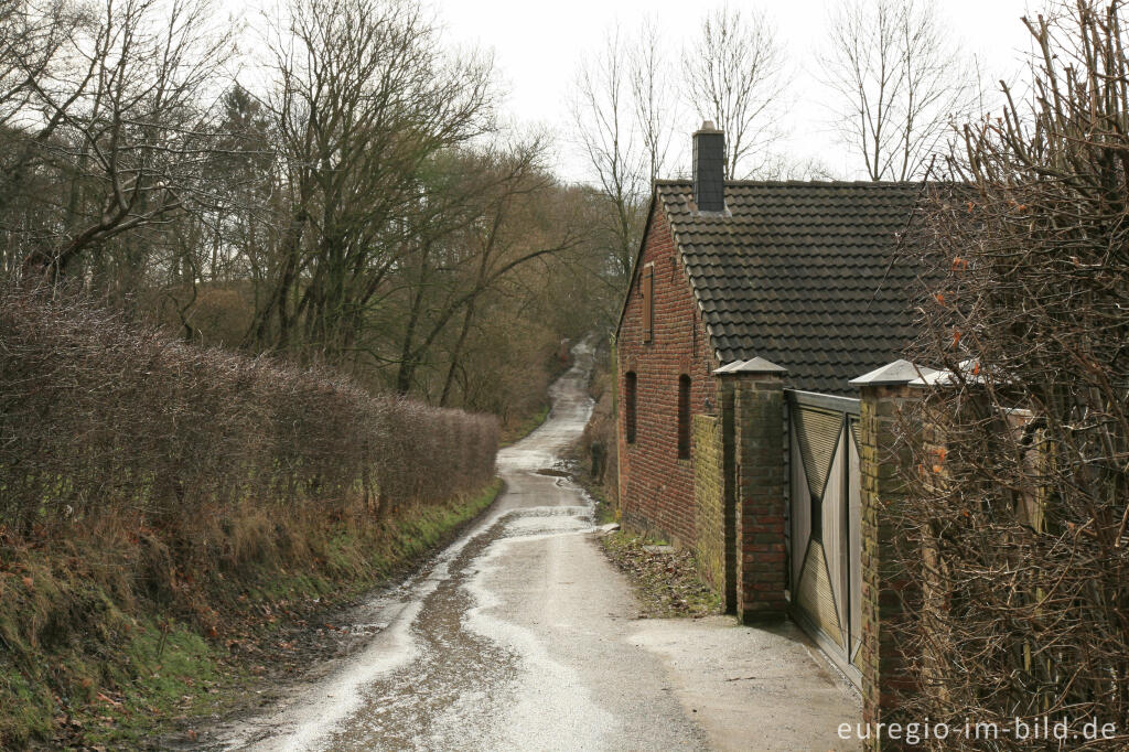 Detailansicht von Wolfsfurth im Wurmtal bei Würselen - Scherberg