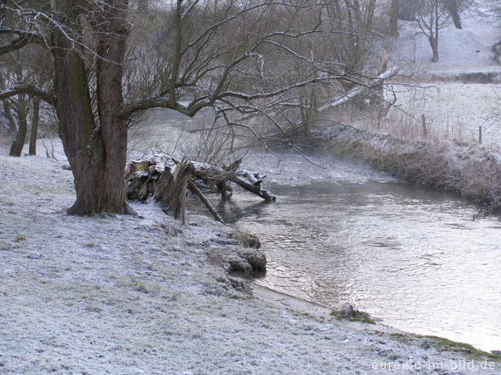 Detailansicht von Wurm zwischen Kohlscheid und Niederbardenberg