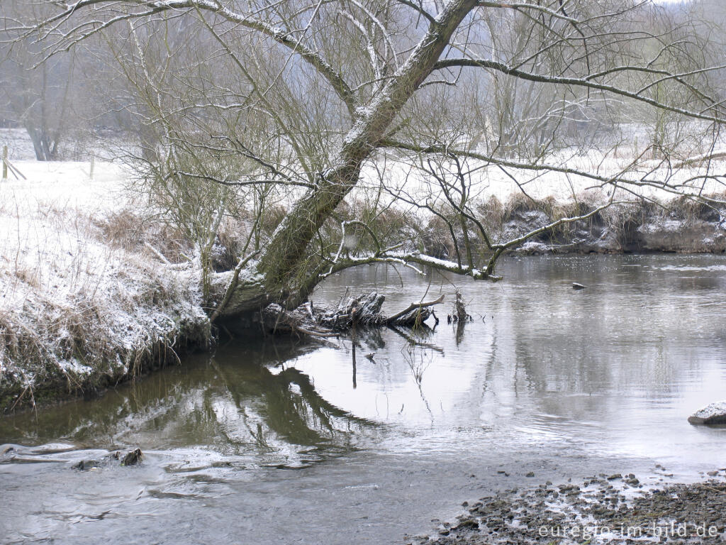 Detailansicht von Wurm zwischen Kohlscheid und Niederbardenberg