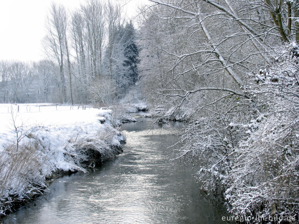 Detailansicht von Wurm zwischen Kohlscheid und Niederbardenberg