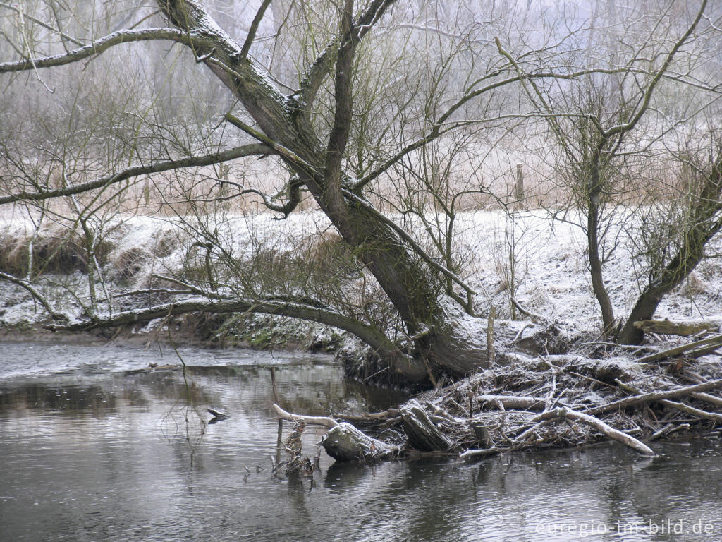 Detailansicht von Wurm zwischen Kohlscheid und Niederbardenberg