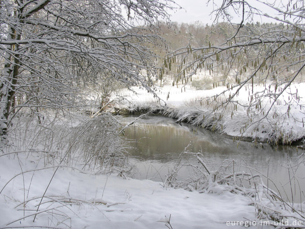 Detailansicht von Wurm zwischen Kohlscheid und Niederbardenberg