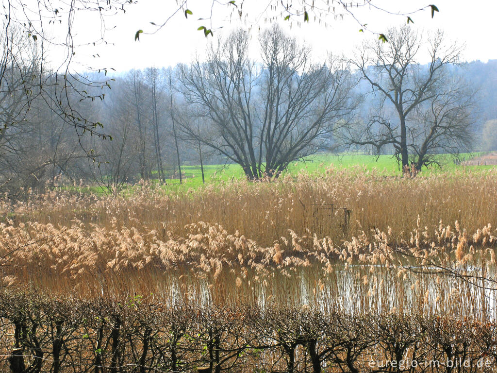 Detailansicht von Wurmtal bei Würselen, zwischen Alte Mühle und Pumpermühle