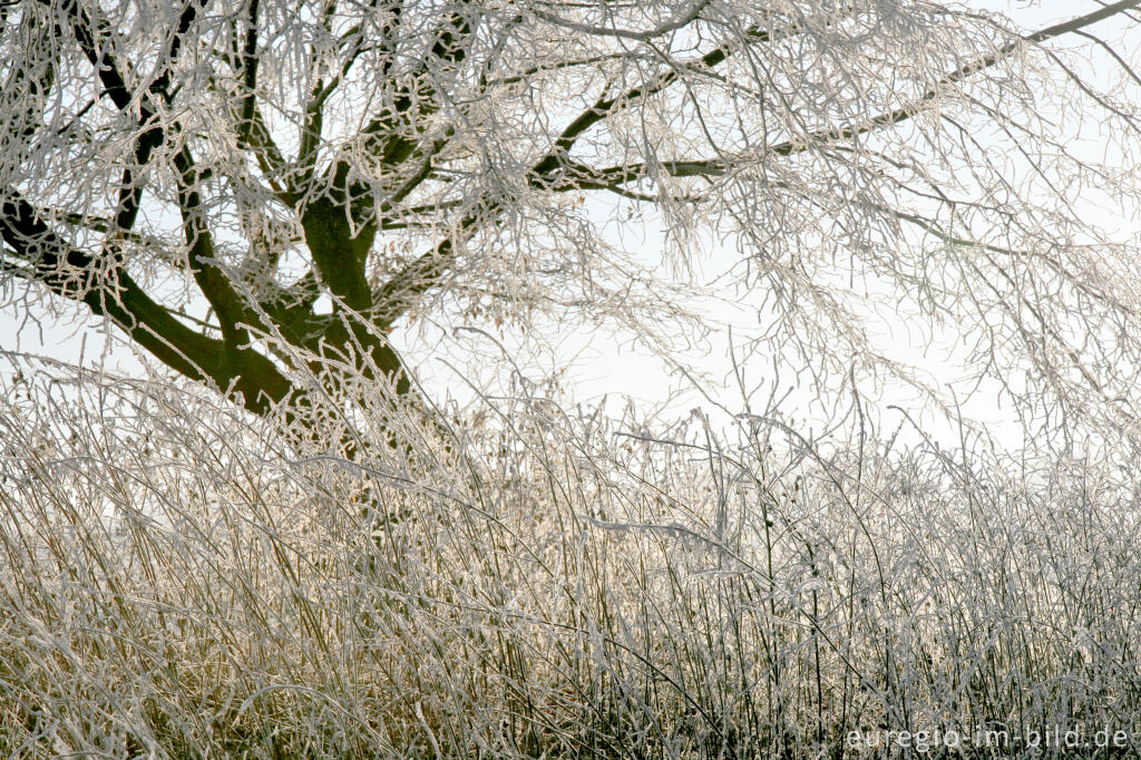 Detailansicht von Wurmtal im Winter, südlich vom Teuterhof