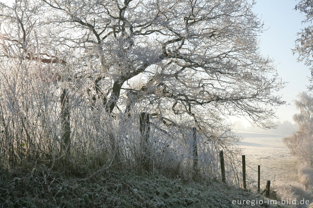 Detailansicht von Wurmtal im Winter, südlich vom Teuterhof