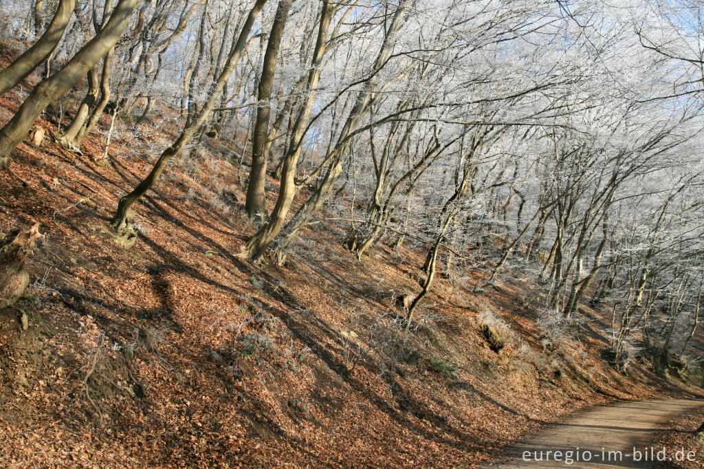 Detailansicht von Wurmtal im Winter, südlich vom Teuterhof