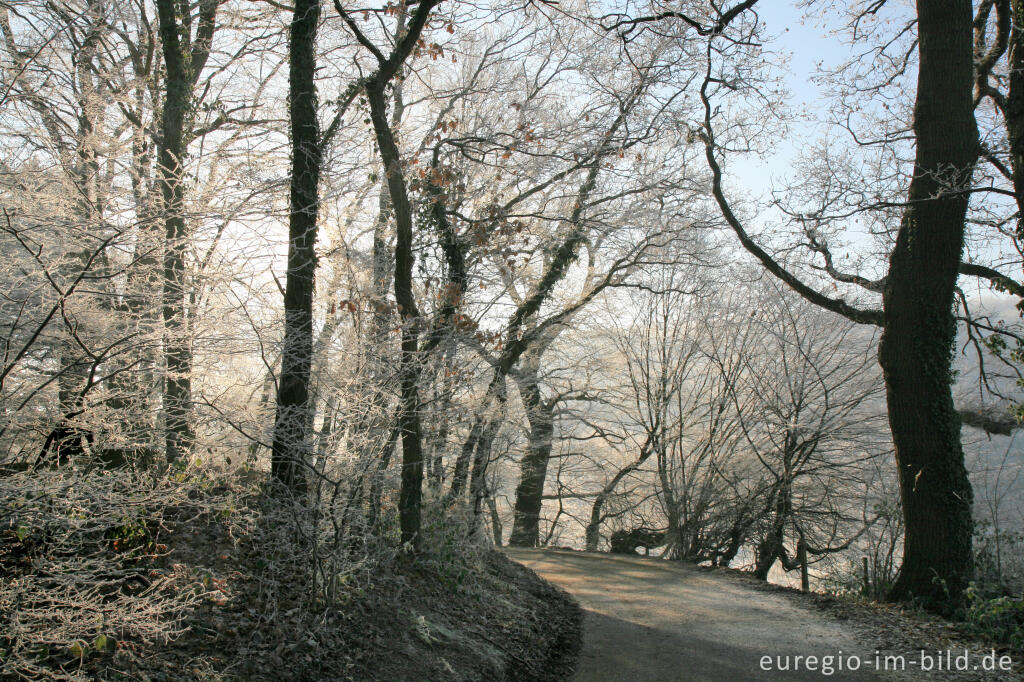 Detailansicht von Wurmtal im Winter, südlich vom Teuterhof