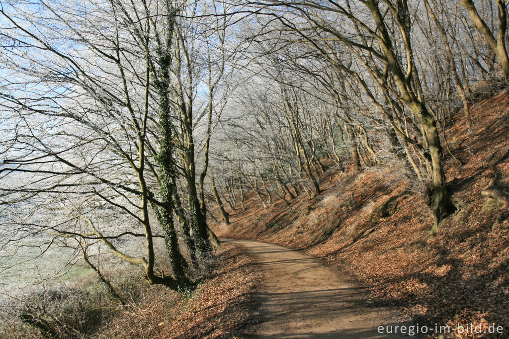 Detailansicht von Wurmtal im Winter, südlich vom Teuterhof