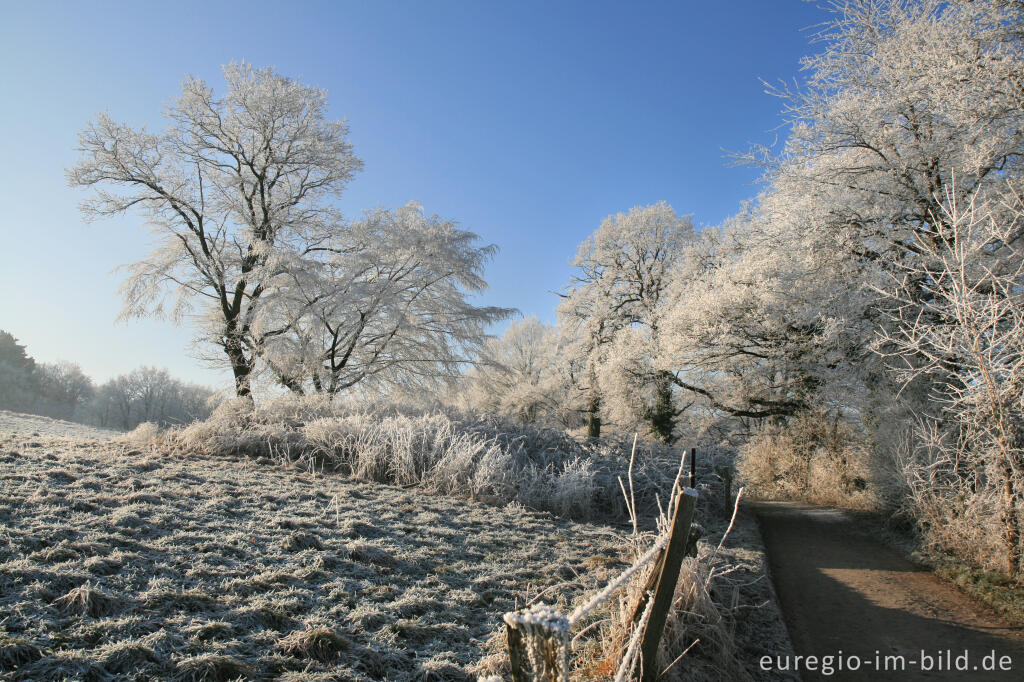 Detailansicht von Wurmtal im Winter, südlich vom Teuterhof