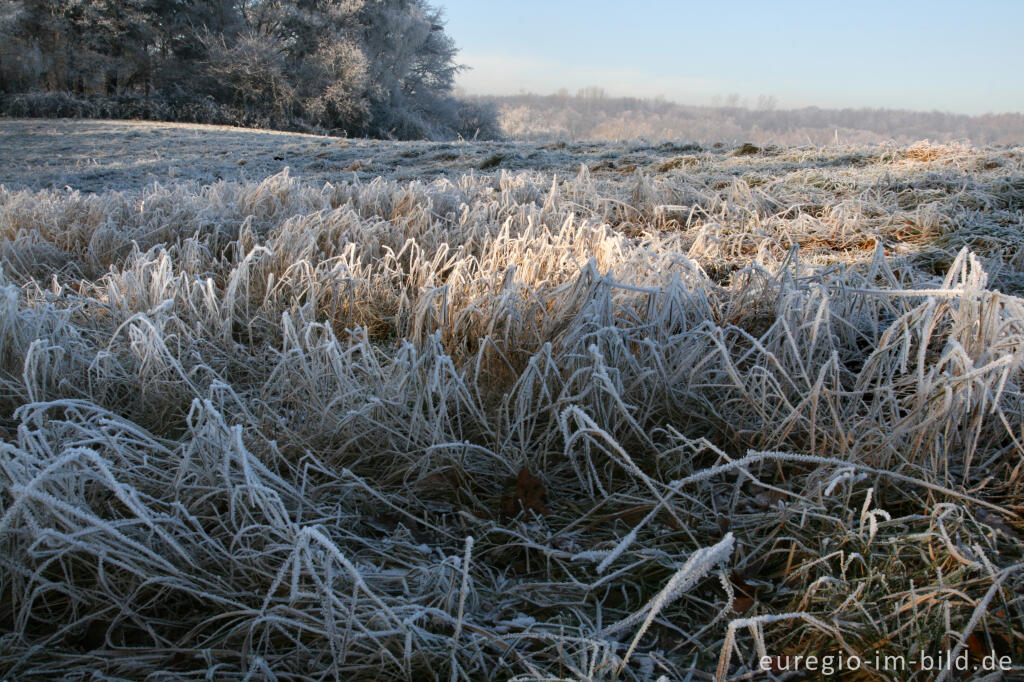 Detailansicht von Wurmtal im Winter, südlich vom Teuterhof