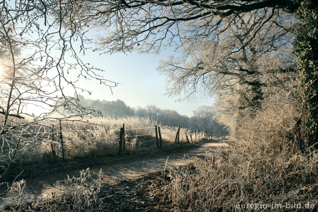 Detailansicht von Wurmtal im Winter, südlich vom Teuterhof